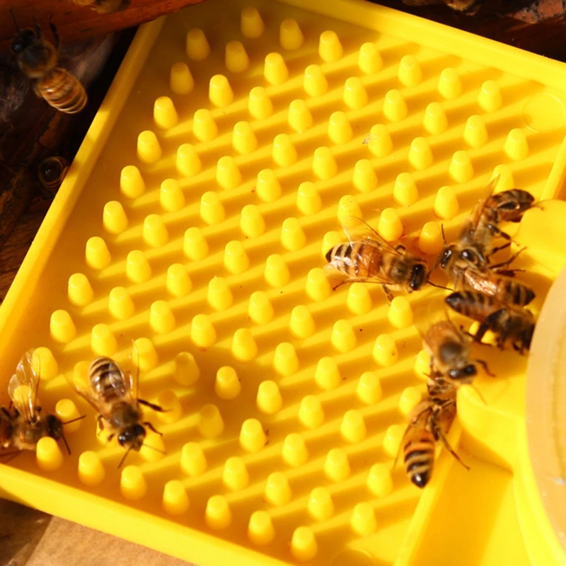 Пластиковое оборудование для пчеловодства Поилка для пчел Большая емкость Инструменты для питья и кормления для пчеловодства Кормушка для пчел Принадлежности